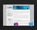 web design thumbnail - Business Practices page